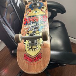 Santa Cruz Skateboard 
