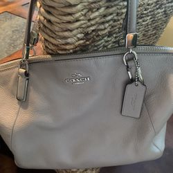 Variety Of Michael Kors And Coach Purses 