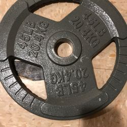 Metal 45 Pound Weight