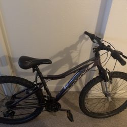 Mongoose Flatrock Mountain Bike