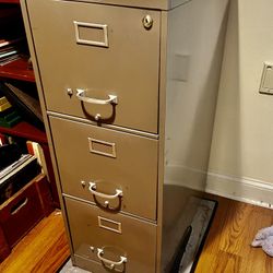 Steel Back Here, Early Auction Master Three Drawer File Cabinet