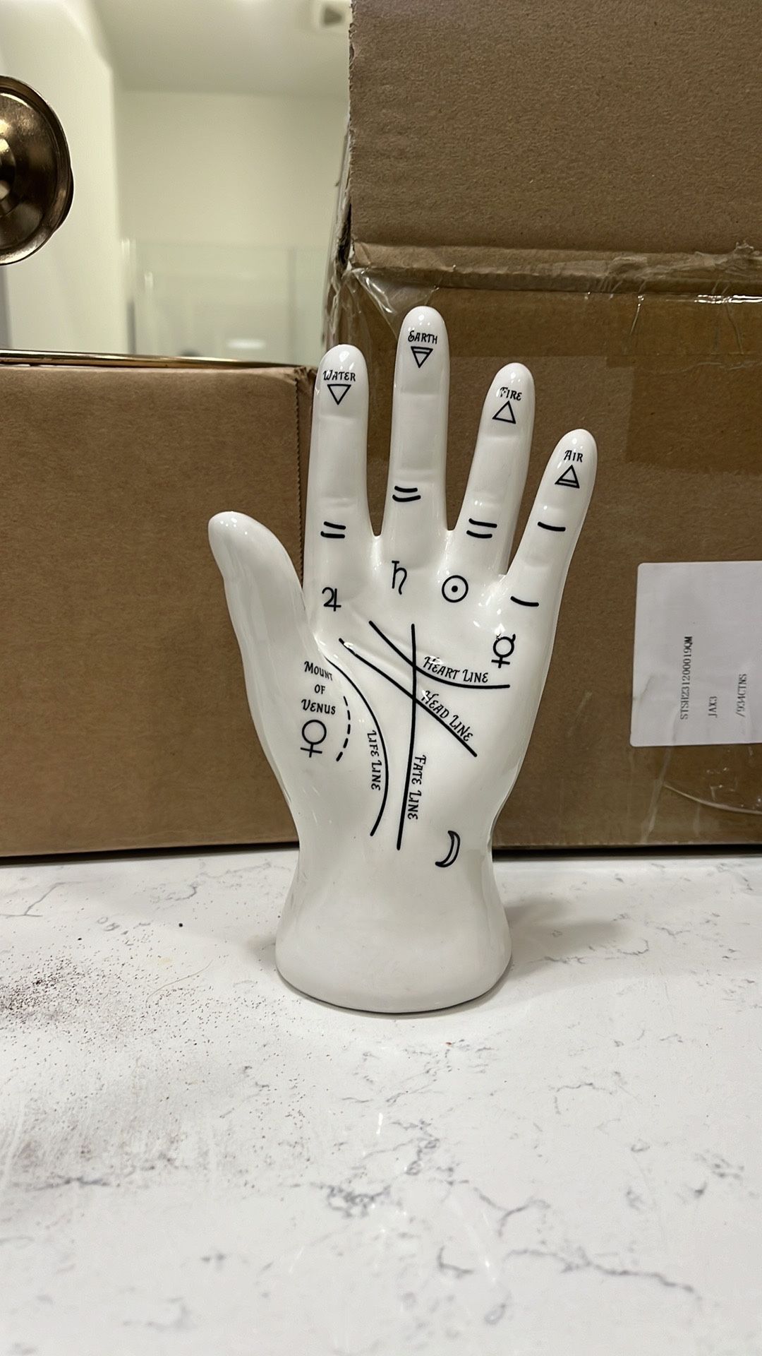 Palmistry Hand