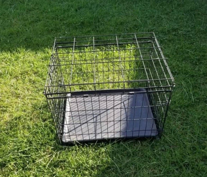 Dog Cage