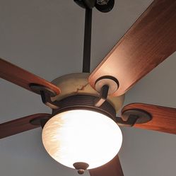 Hampton Bay Ceiling Fan 52"