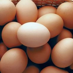 Farm Fresh  Eggs