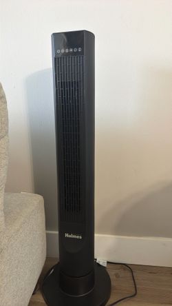 Fan