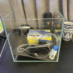 5 Gallon Rimless Aquarium Tank Setup 