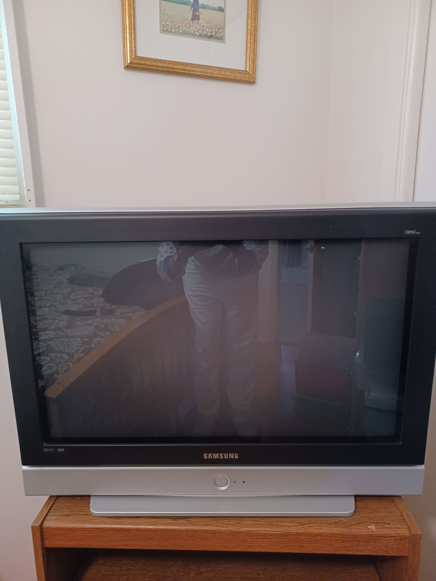 30 Inch Samsung TV-Works Great.