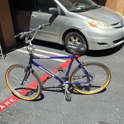 Pair Of Bikes