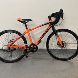 Giant TCX Espoir 24