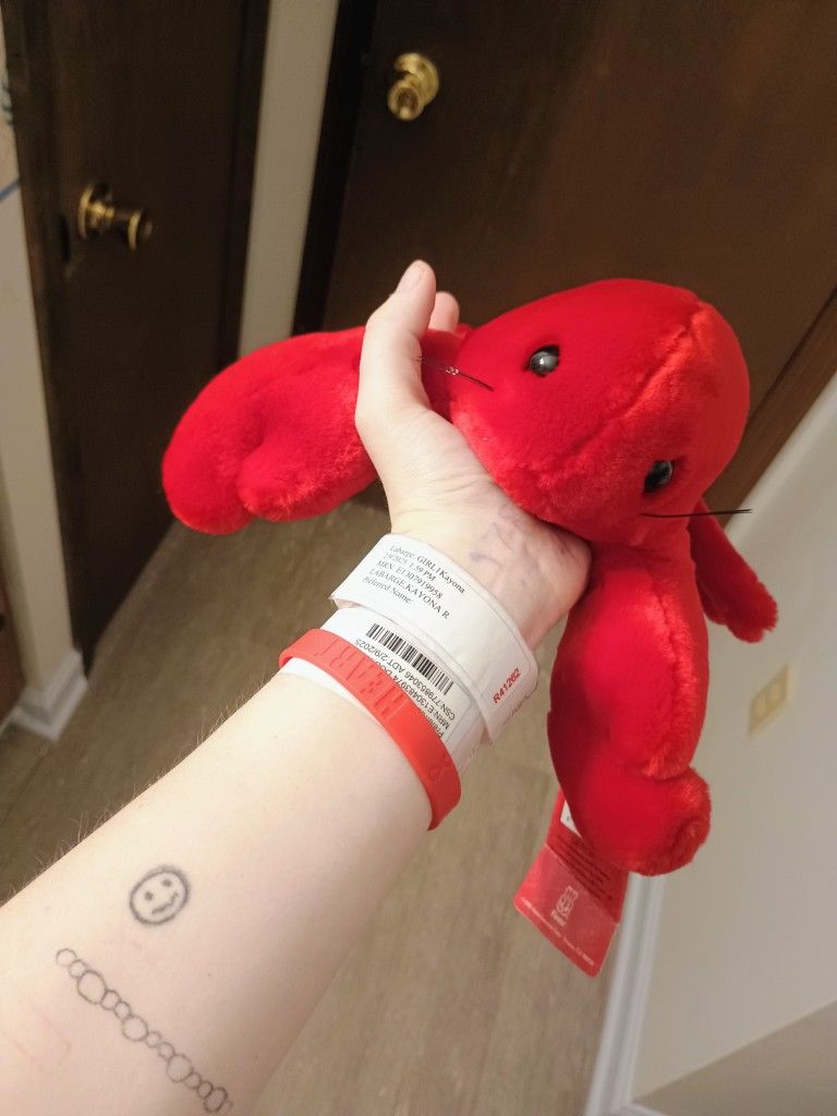 Huggable Lobster