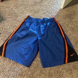 Blue And Orange Vintage Nike Shorts Size Large