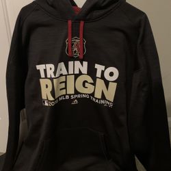 Arizona Diamondbacks Sweatshirt Hoodie