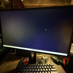 Asus Monitor 