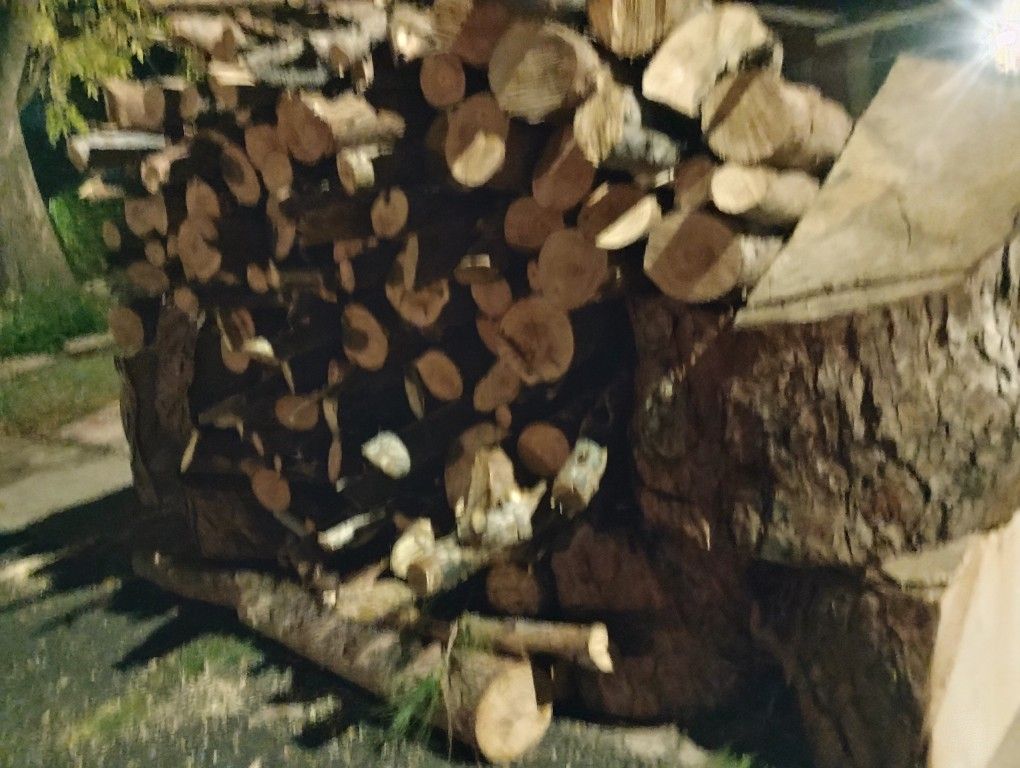 FREE WOOD             *Please Read