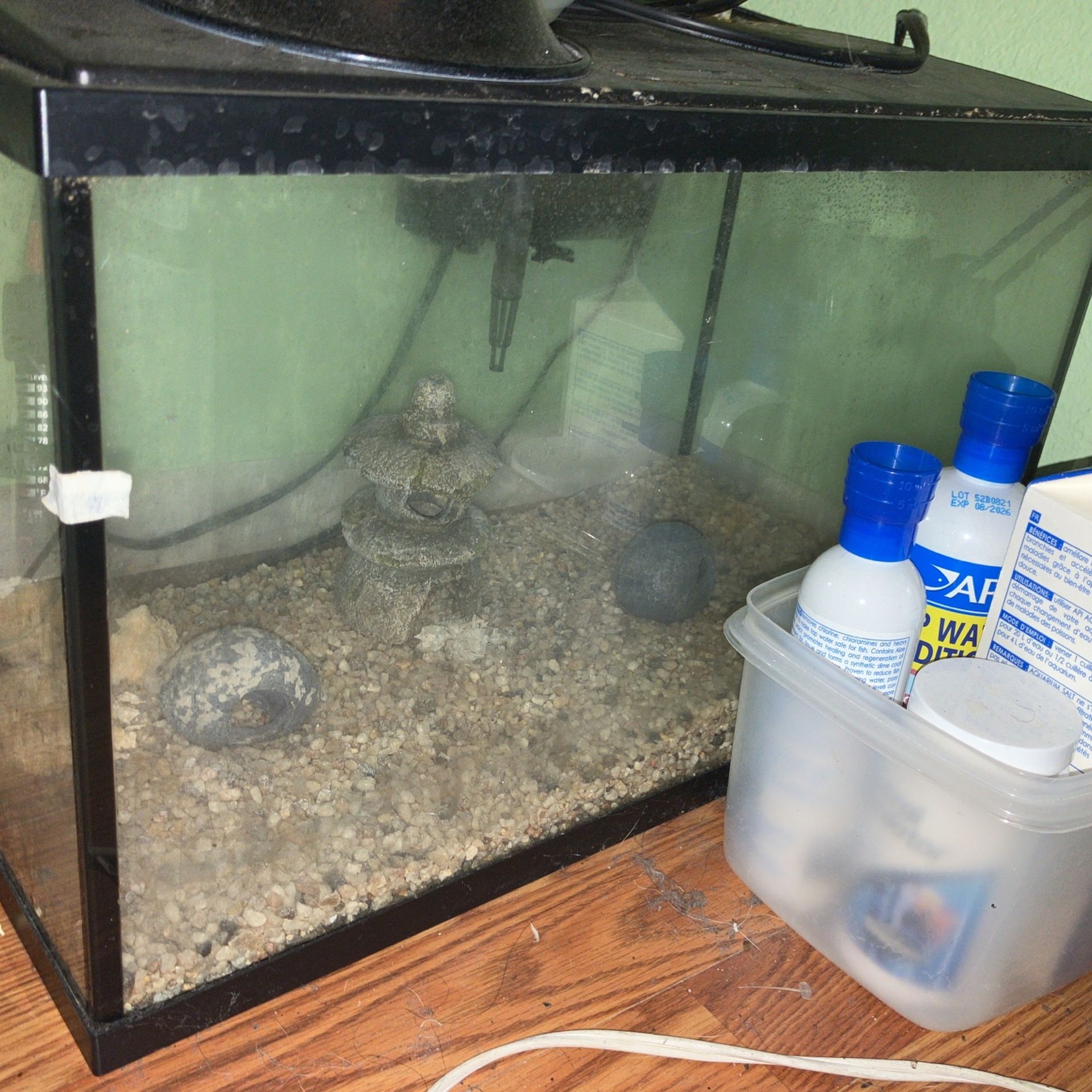 10 Gallon Tank