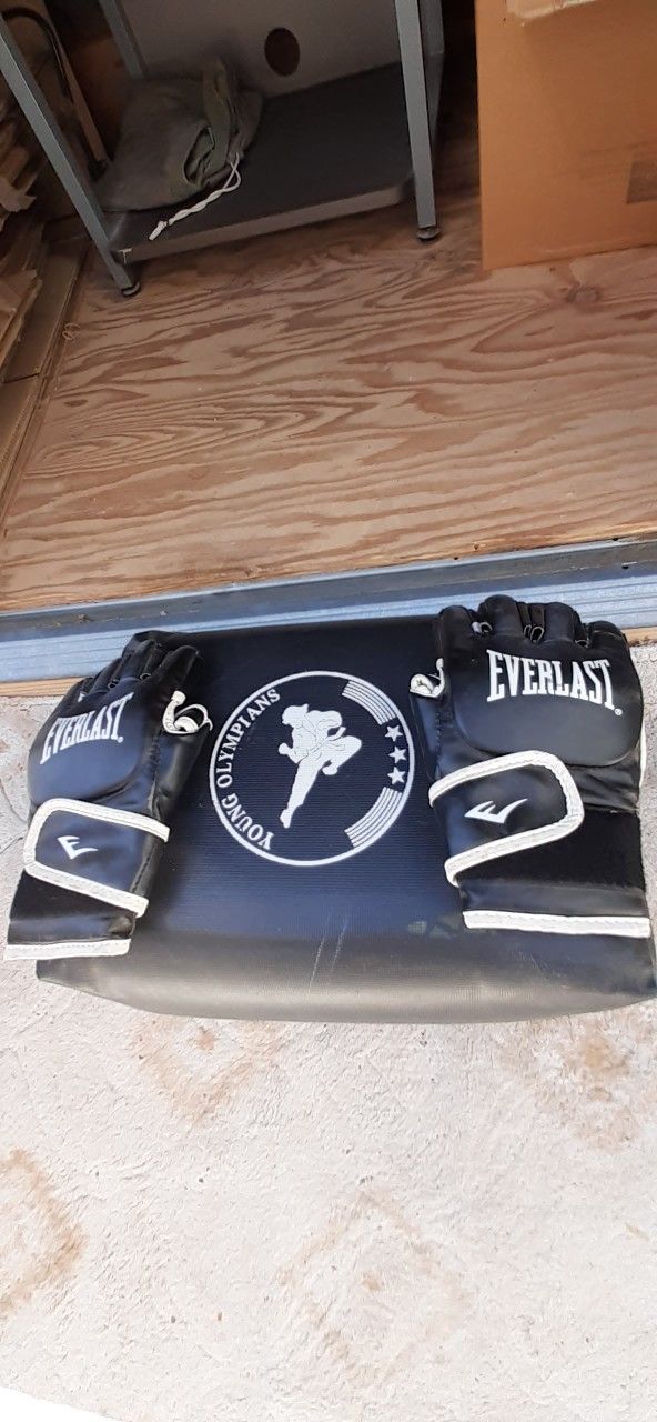 I Am Selling A Karate Punch Bag, With Two Everlast Punching Gloves--like New