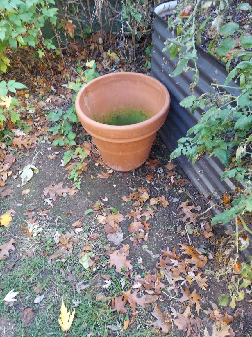 Large Flower Pot