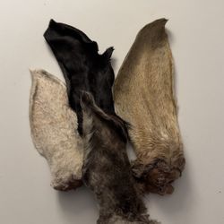 Lamb/goat Ears