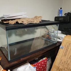 Snake Tank/Reptile Habitat
