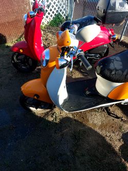 Honda Scooter