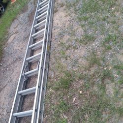24' Werner Medium DutyExt. Ladder