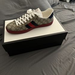 Gucci Ace GG Supreme Red Size 8 New 