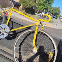Awesome Vintage Schwinn Bike 1970s