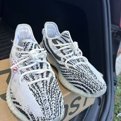 Yeezy Zebra 