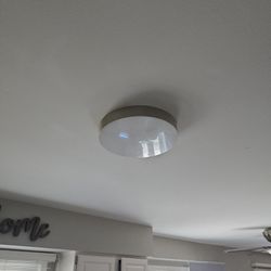 Smart LED Ceiling Light