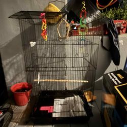 Bird Cage 
