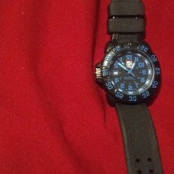 Luminox Watch 3050/3950 Series 