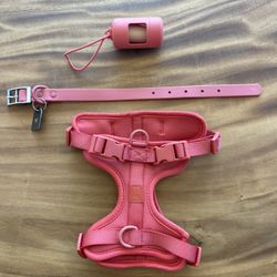 Wild One Pink Harness, Collar, and Poop Bag Holder