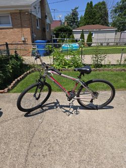 Adult Bike 26in