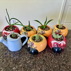 Drought resistant plants