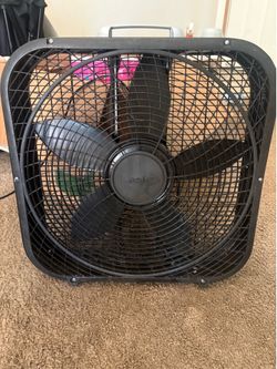 Fan