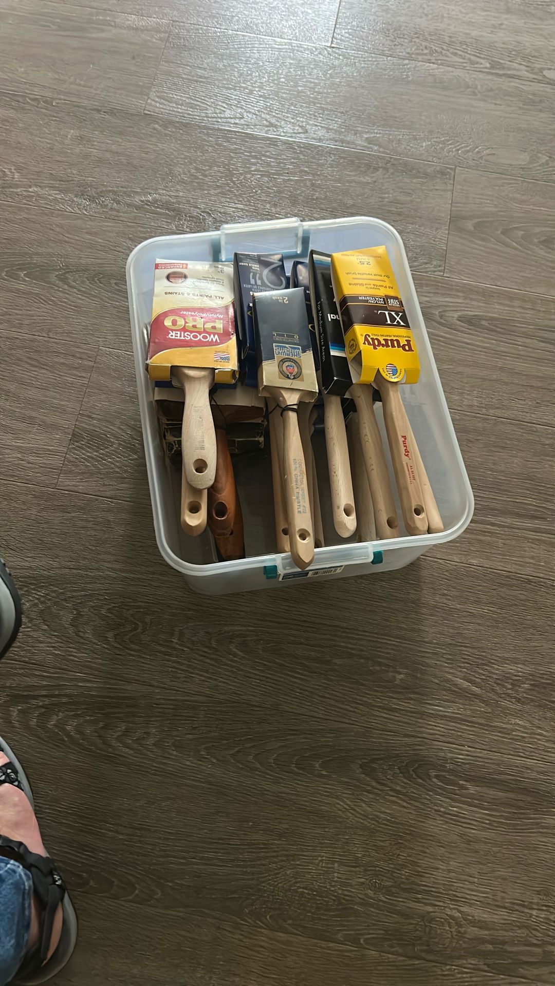 Paint Supplies
