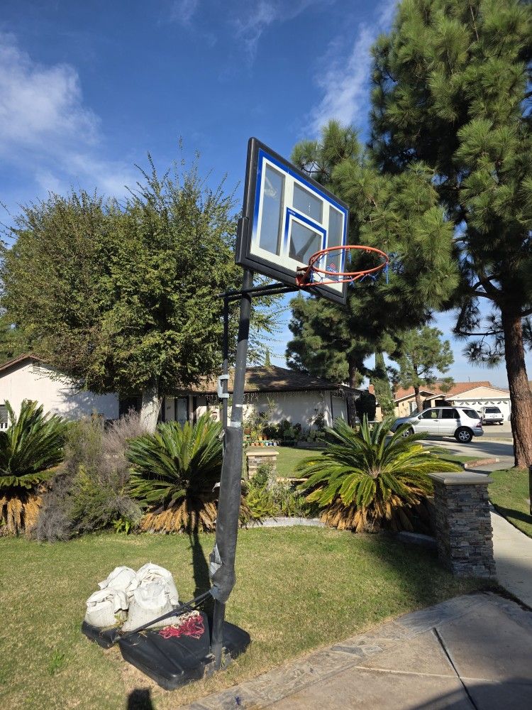Basketball Hoop