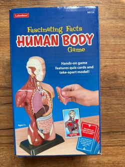Human Body Game
