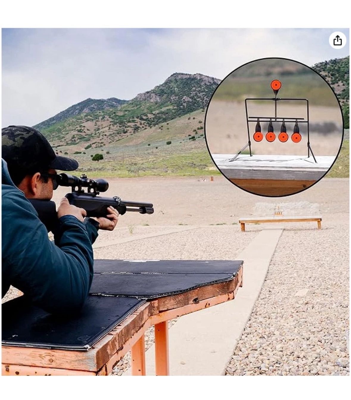 resetting steel target