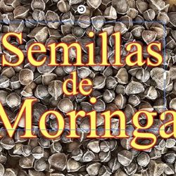 Semillas De Moringa 