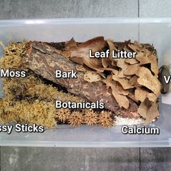 ISOPOD KITS