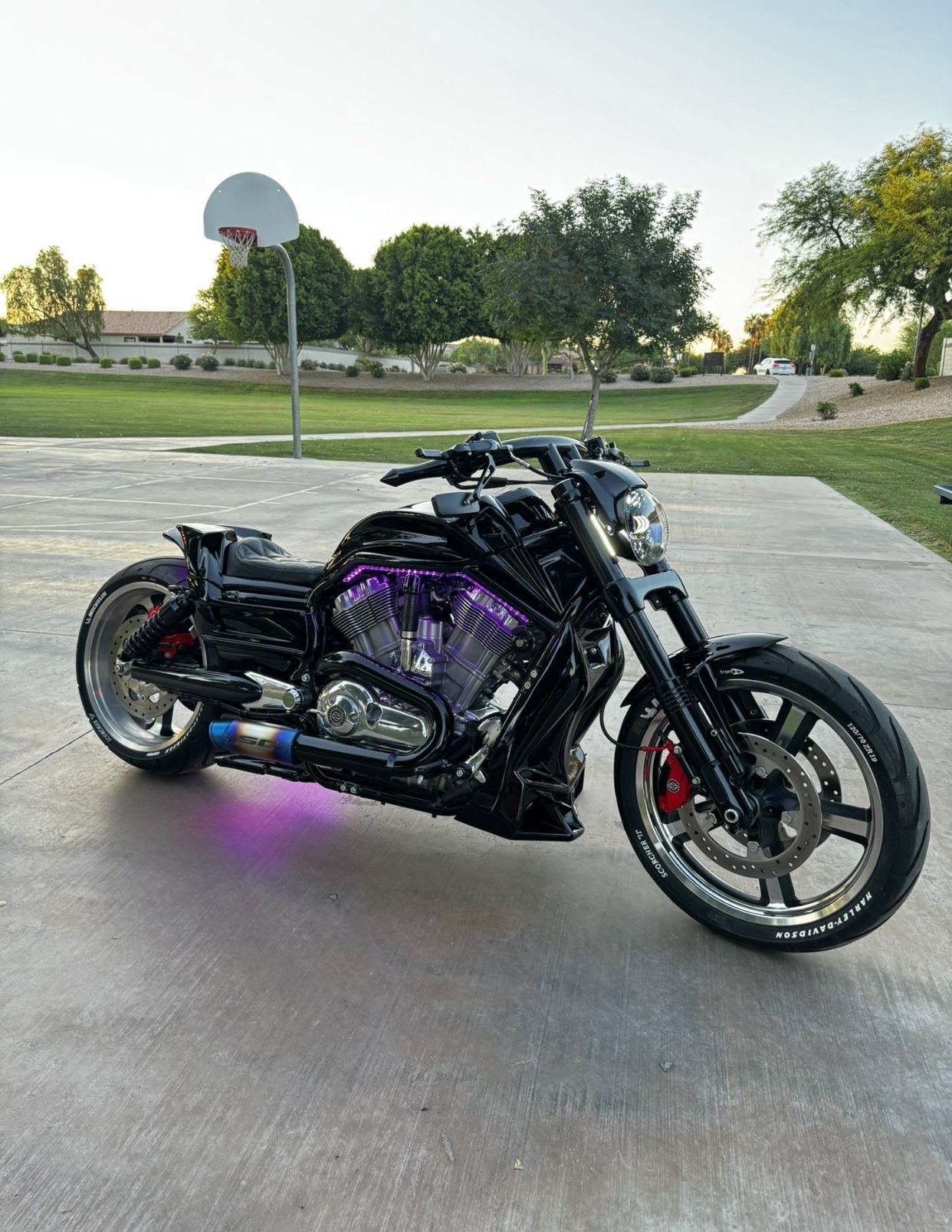 2016 Harley Davidson V rod