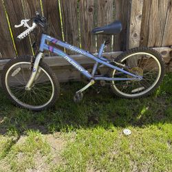7-speed bicycle