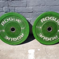 2 25lb Green Bumper Plates From Rogue Fitness.
