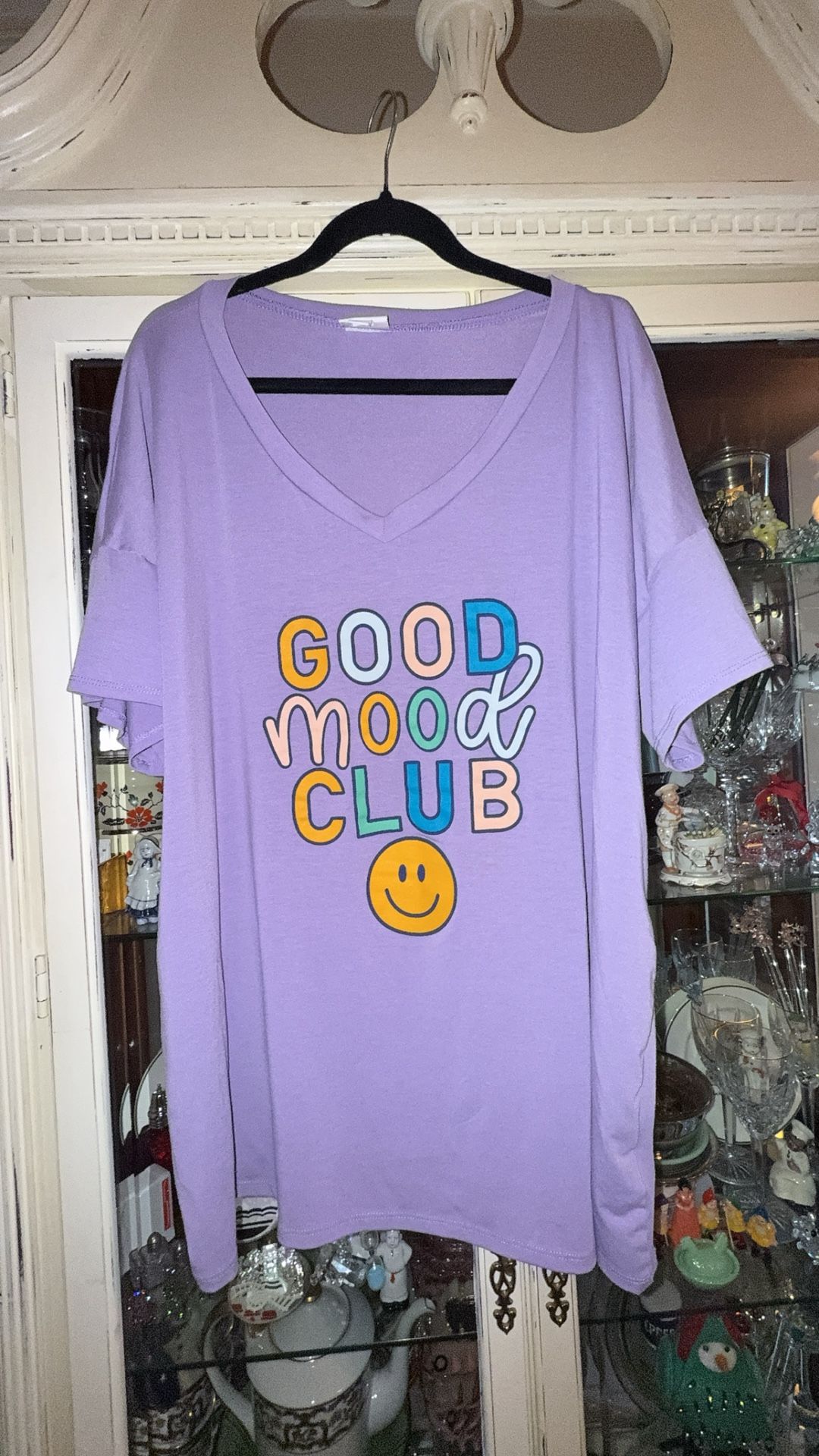 LuLaRoe Purple “Lisa” V-Neck T-Shirt - Woman’s Size 2XL