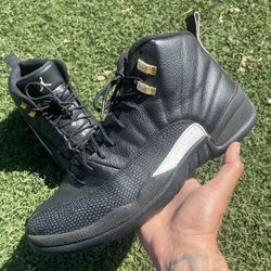 Sz 11 Jordan retro 12s Master $100 FIRM NO TRADES