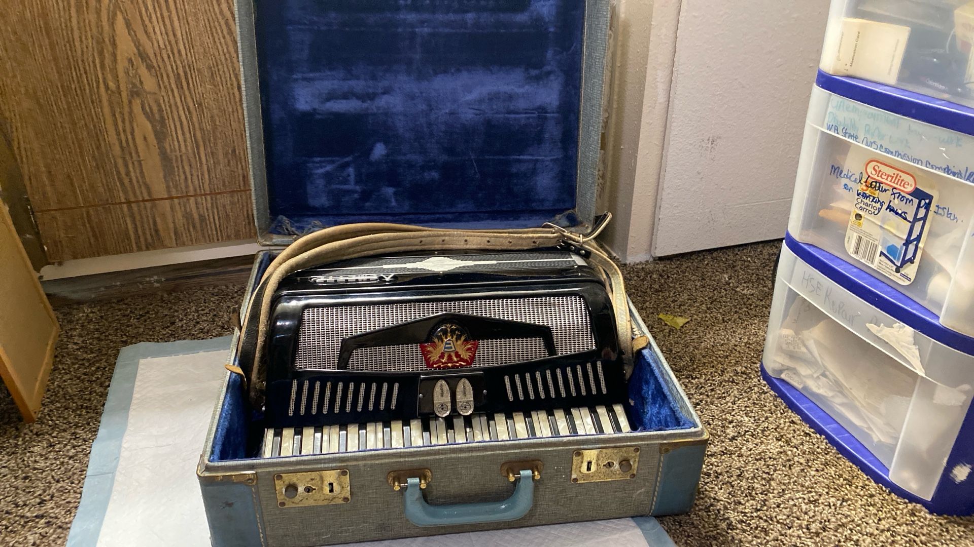 Piano Accordion