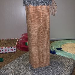 Cat Scratching Post