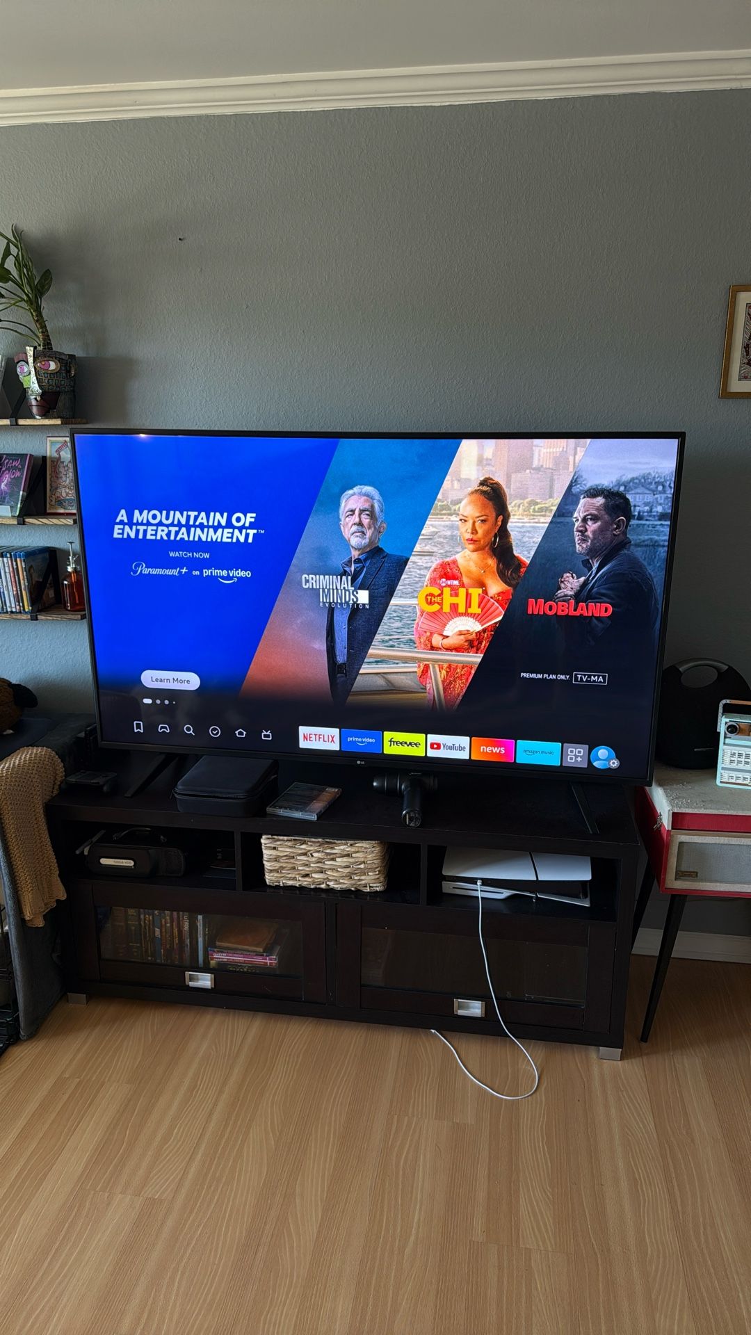 LG 65in Smart TV